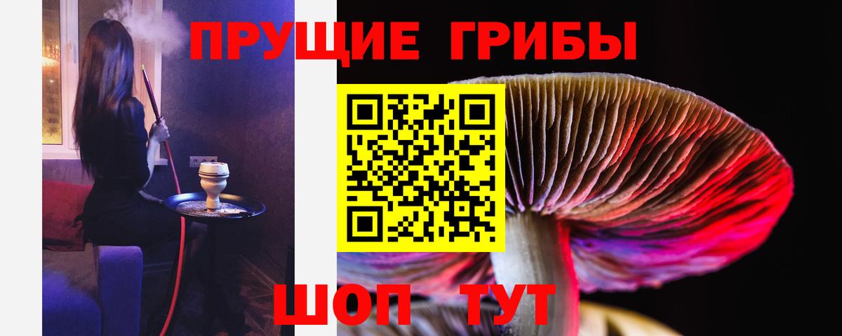 Аксай  Псилоцибиновые грибы мицелий  Вход с VPN 